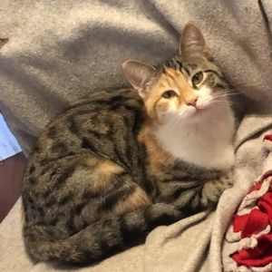 Meet your Posher, Josie